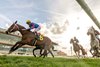 2/27/2021  -  Jus Lively with jockey Adam Beschizza aboard captures the 41st running of the Dixie Poker Ace Stakes at Fair Grounds.  Hodges Photography / Lou Hodges, Jr.