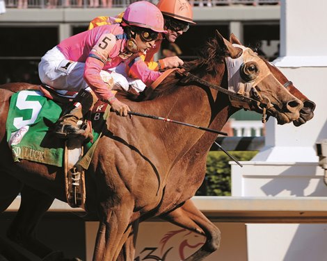 U.S. Champion Females Represented in Japan July Sale