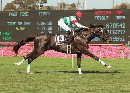 Cesario wins the 2005 American Oaks Invitational Stakes at Hollywood Park