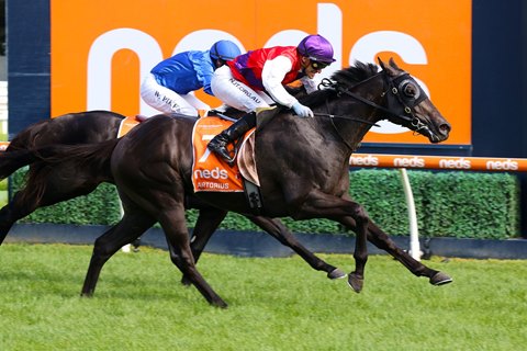 Gary Diamond Has Shares In Six Golden Slipper Runners Bloodhorse