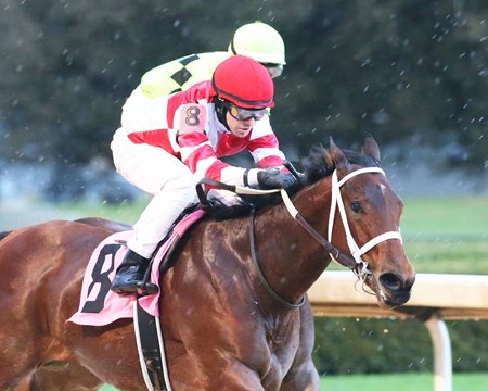 Windmill wins the Dixie Belle Stakes at Oaklawn Park