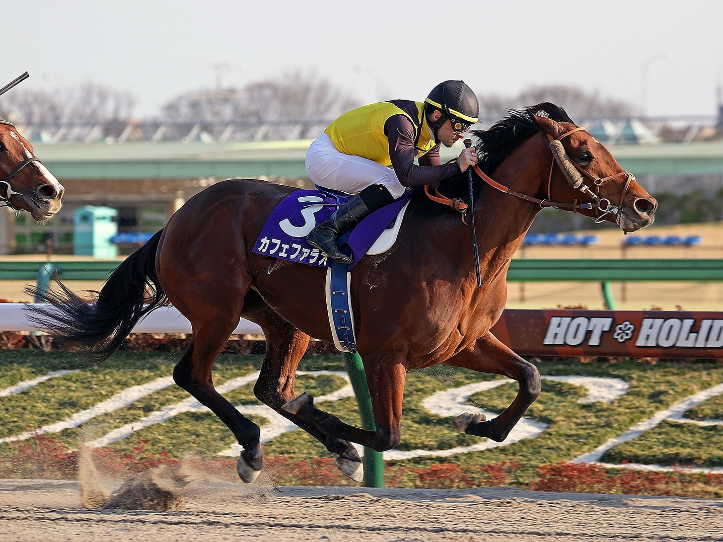 競馬 実使用レースゼッケン フォワードカフェ - その他