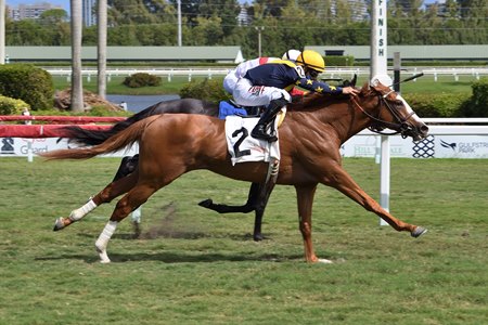 Annex wins the Palm Beach Stakes at Gulfstream Park