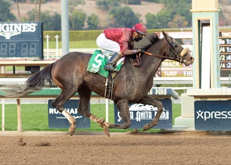 Roman Centurian Works Toward San Felipe - BloodHorse