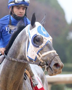 Essential Quality returns from his win in the Southwest Stakes at Oaklawn Park 