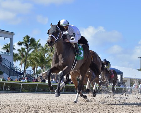 Fearless wins the Gulfstream Park Mile at Gulfstream Park