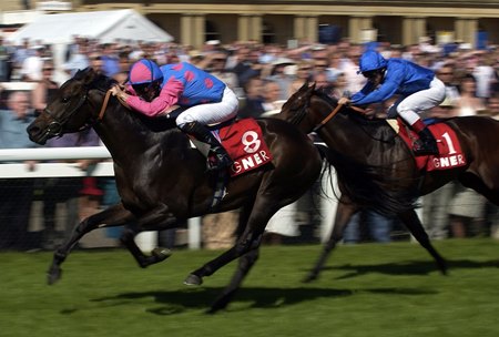 Pastoral Pursuits wins the 2004 Park Stakes at Doncaster Racecourse