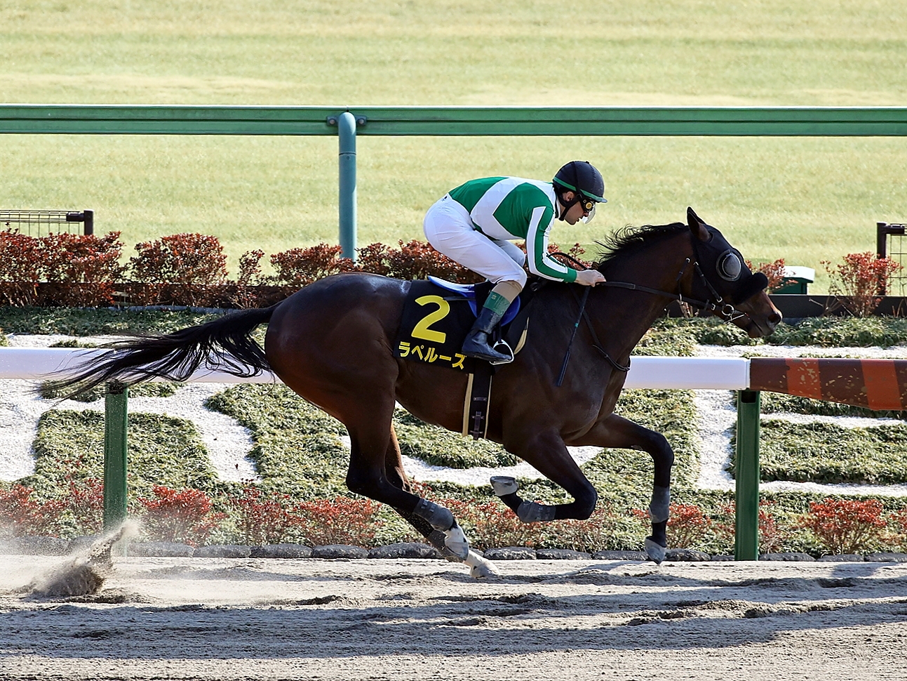 Ladybug Tops the Field for the Fukuryu Stakes - BloodHorse