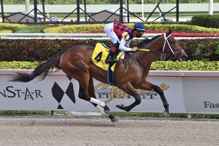Collaborate rolls to a maiden score at Gulfstream Park