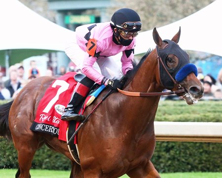 Concert Tour wins the 2021 Rebel Stakes at Oaklawn Park