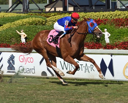 Churn N Burn wins the Pan American Stakes at Gulfstream Park
