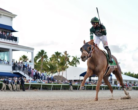 Known Agenda wins the Florida Derby at Gulfstream Park