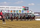 Laurel Park Starting Gate