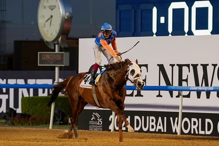 Zenden wins the Dubai Golden Shaheen at Meydan