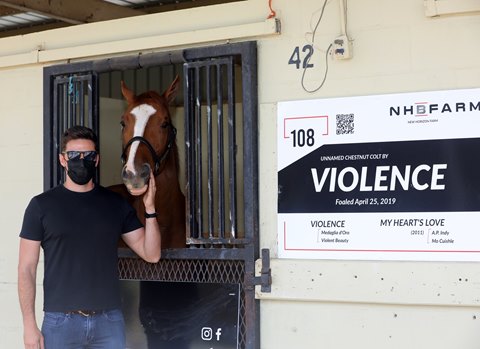 New Horizon Makes First Foray Into 2 Year Old Market Bloodhorse New Horizon Makes First Foray Into 2 Year Old Market Bloodhorse