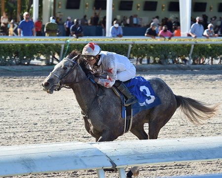 Crazy Beautiful wins the Gulfstream Park Oaks at Gulfstream Park