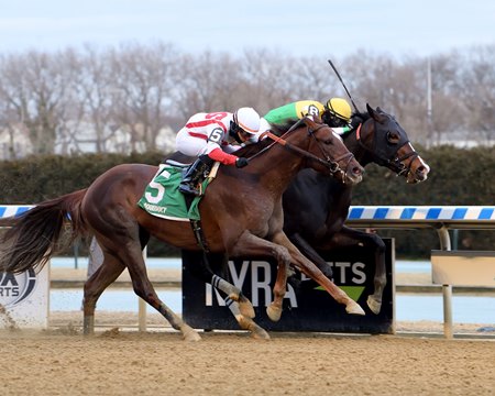 Weyburn (inside) proves a game winner of the Gotham Stakes at Aqueduct Racetrack