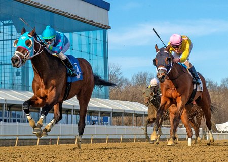 Shackled Love Wins Private Terms Littlestitious Shines Bloodhorse