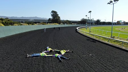 On Track Protest Disrupts Racing At Golden Gate Bloodhorse