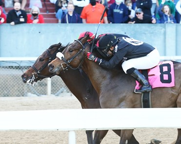 Goodnight Archie - Horse Profile - BloodHorse