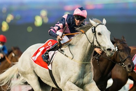 Lord Glitters wins the Jebel Hatta at Meydan Racecourse