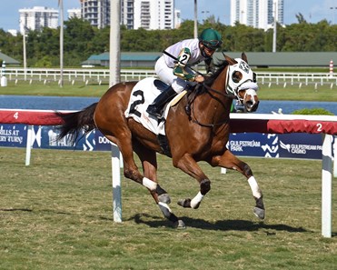 Raison d'Air - Horse Profile - BloodHorse