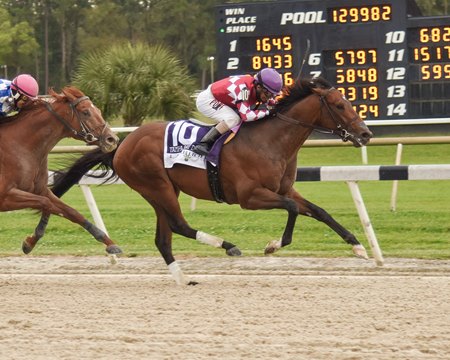 Helium wins the Tampa Bay Derby at Tampa Bay Downs