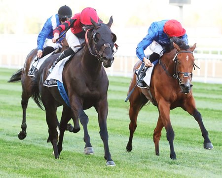 Extravagant Kid (blinkers) wins the Al Quoz Sprint at Meydan