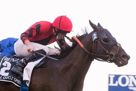 Dettori To Ride Extravagant Kid In King S Stand Bloodhorse