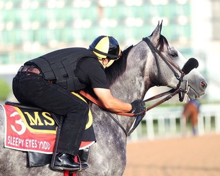 Sleepy Eyes Todd and his rider pause for a break in training prior to the Dubai World Cup at Meydan