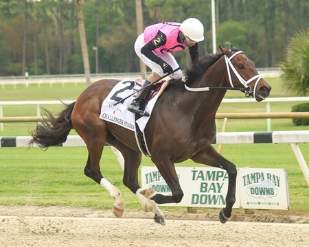 Last Judgment scores in the Challenger Stakes at Tampa Bay Downs