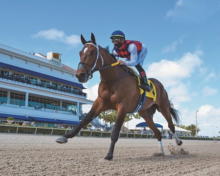 Collaborate cruises to a 12 1/2-length victory at Gulfstream Park