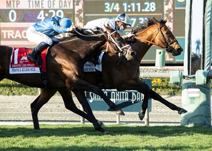 Hit the Road - Horse Profile - BloodHorse