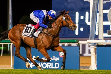 Lord North wins the Dubai Turf at Meydan