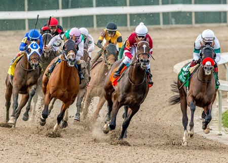 Expanded Road to Derby on Fair Grounds Stakes Schedule - TrueNicks.com