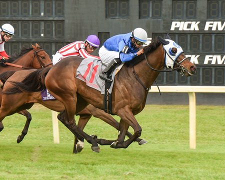 Micheline wins the Hillsborough Stakes at Tampa Bay Downs