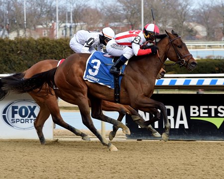 Search Results catches Miss Brazil in the Busher Invitational Stakes at Aqueduct Racetrack