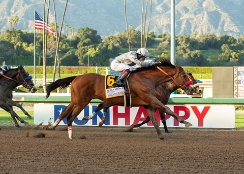 Idol Catches Express Train In Santa Anita Handicap Bloodhorse