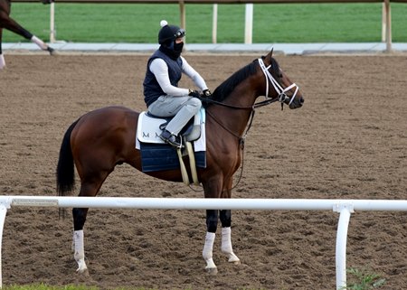 Rombauer out for training in March at Santa Anita Park