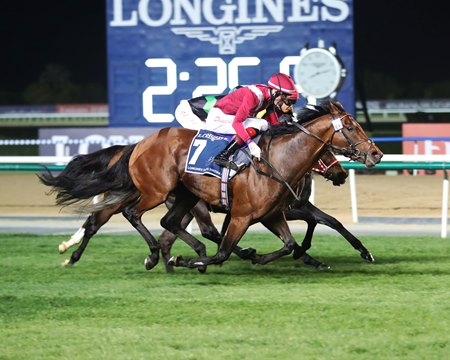 Mishriff Mystic Guide Currently Rated As World S Best Bloodhorse