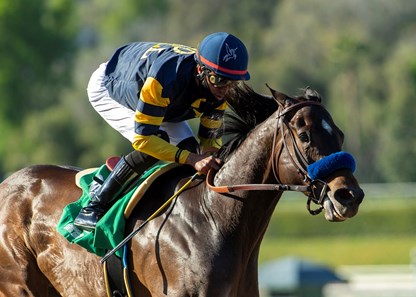 Ax Man - Horse Profile - BloodHorse