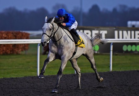 Highland Avenue is an early favorite for the Road to the Kentucky Derby Conditions Stakes at Kempton Park