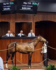 The Unified colt consigned as Hip 110 in the ring at the OBS March Sale