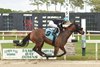 R Adios Jersey wins the Stonehedge Farm South Sophomore Fillies Stakes  Sunday, March 28, 2021 at Tampa Bay Downs