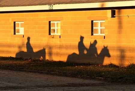 Shadows are cast by horses heading to the track at Keeneland alongside Rice Road near Lexington