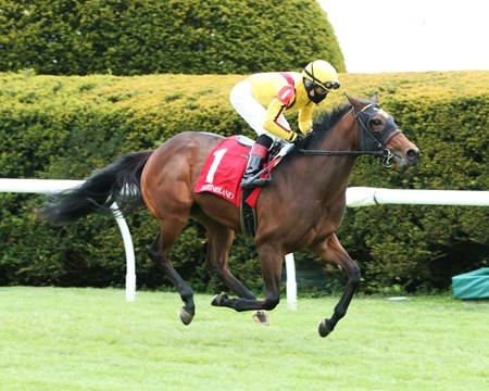 Ribchester Sires First Winner At Keeneland Bloodhorse