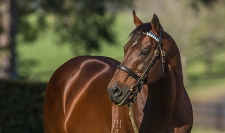 Exceed And Excel Tops Darley Australia Stallion Roster