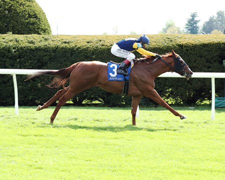 Ward Runners Tune Up For Royal Ascot Bloodhorse