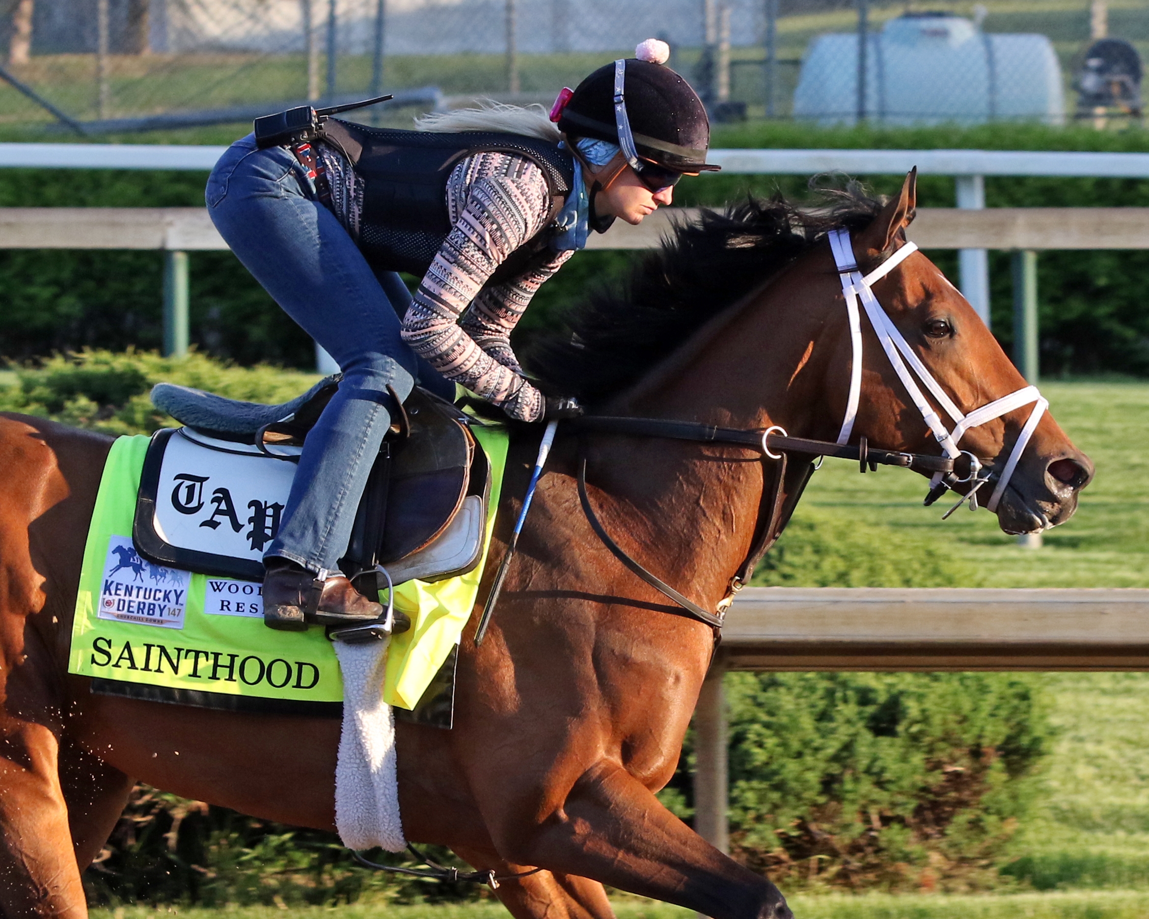 26020a330ccd4fd18c6666ce748848