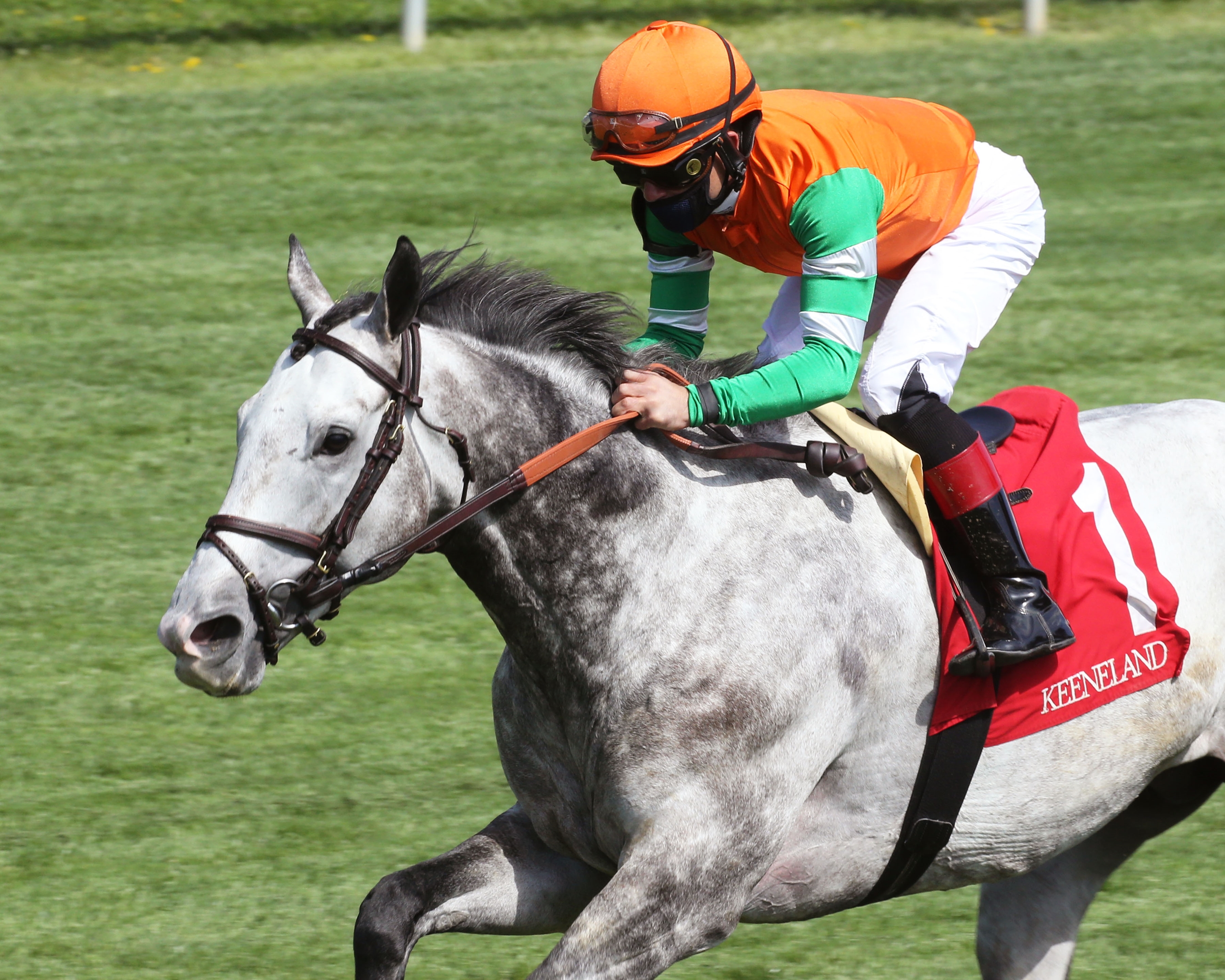 Master Piece (CHI) - Horse Profile - BloodHorse